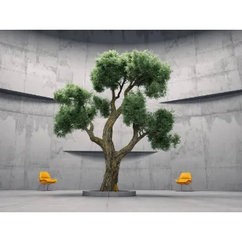 Natural Bonsai Plants